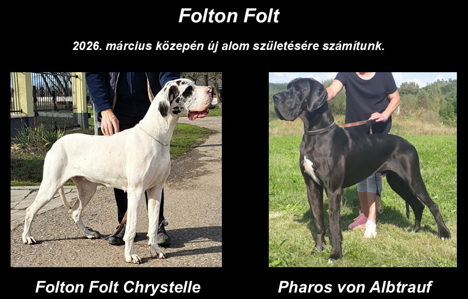 FF G alom szülei