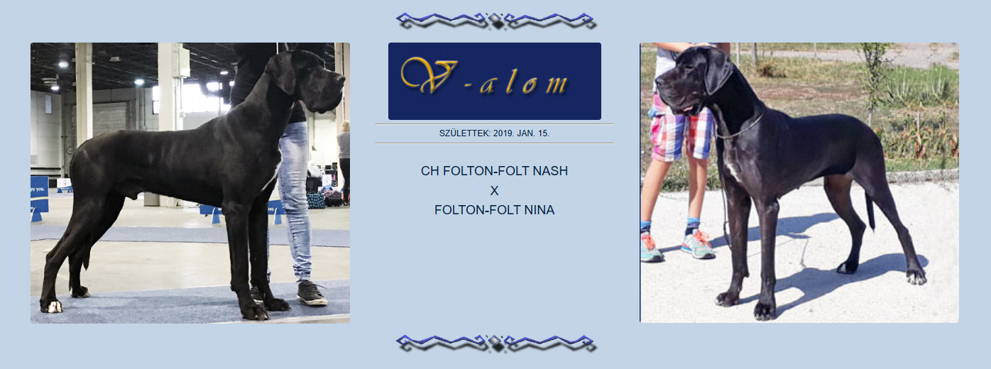 v2 alom szülei Nina x Nash