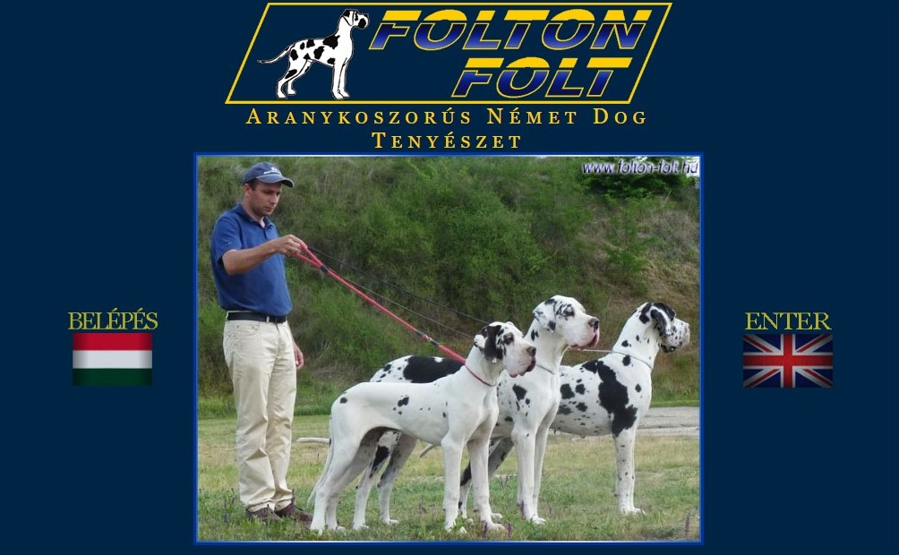 Folton-Folt régi honlap linkhez kép